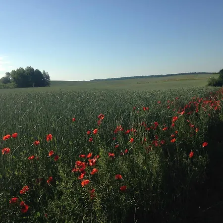 Mohnblume Apartmán *