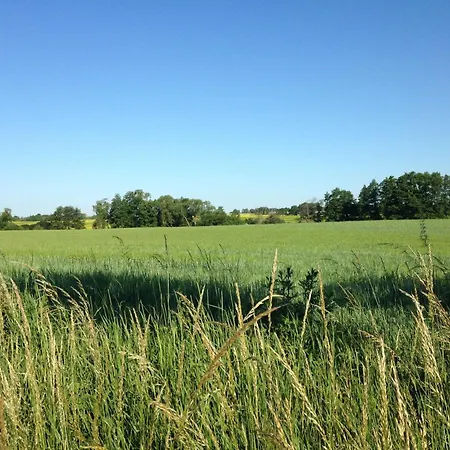Mohnblume Apartmán Gerswalde