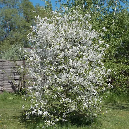 Apartmán Mohnblume