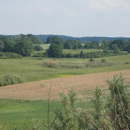 Mohnblume Gerswalde