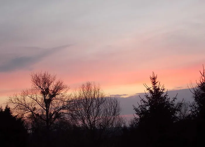 Mohnblume * Gerswalde